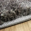 【范登伯格】新艾菲爾☆超細紗長毛地毯(160x230cm/共兩色)