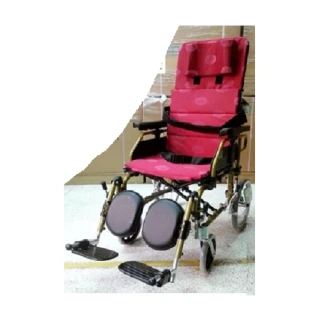 【海夫健康生活館】安愛 機械式輪椅 未滅菌 康復 紅提2011P 鋁躺輪椅 20吋