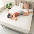 【obis】beauty sleep膠原蛋白竹炭泡棉獨立筒床墊(標準雙人5x6.2尺)