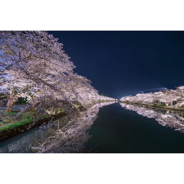 【Sigma】14mm F1.4 DG DN Art for SONY E-MOUNT 接環(公司貨 超廣角大光圈人像鏡 全片幅無反微單眼鏡頭)