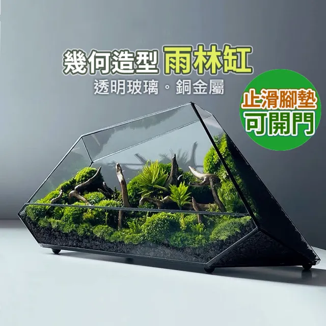 【沐森Green Life】雙斜几何雨林缸 生態瓶 微景觀 花器(空缸 不含內容物)