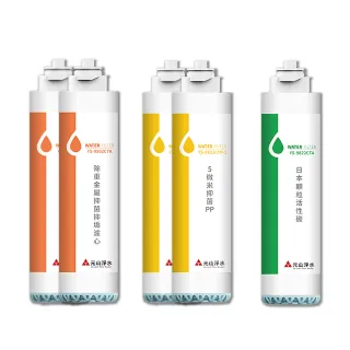 【元山】一年份五入盒裝濾心組 YS-9803CT(YS-8103RWT/YS-8105RWF/YS-8100RWF專用濾芯)