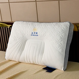 【ALAI 寢飾工場】宇宙太空艙護頸記憶乳膠枕1入(可水洗 支撐頸部 頭部 防鼾枕)
