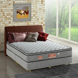 【aie享愛名床】竹碳+3M防潑水+記憶膠真三線彈簧床墊-雙人加大6尺(經濟型)