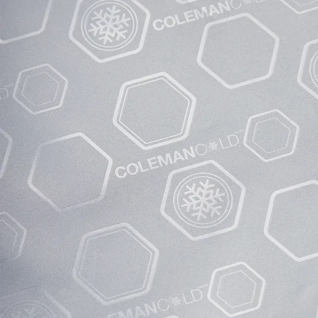 【Coleman】10L保冷袋 / 薄霧藍 / CM-38947(保冷袋 保冰袋 保鮮袋)