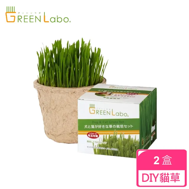 【GreenLabo】DIY貓咪燕麥草(2盒)