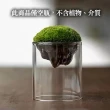 【沐森Green Life】1入 雪山造型玻璃花器 微景觀 花器(不含苔蘚 多肉植物)
