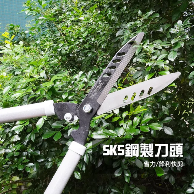 【小農夫】園藝剪刀 大樹修枝 省力剪刀 B-SK5S(花剪 園藝剪 工具大剪刀)