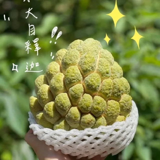 【禾ME】台東大目釋迦5斤(大果4-5顆)