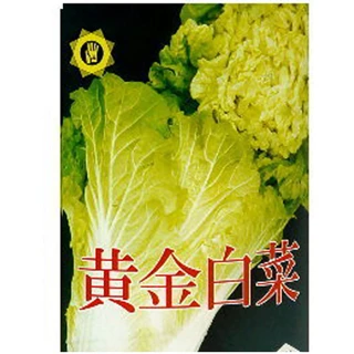 【蔬菜工坊】A69.黃金白菜種子