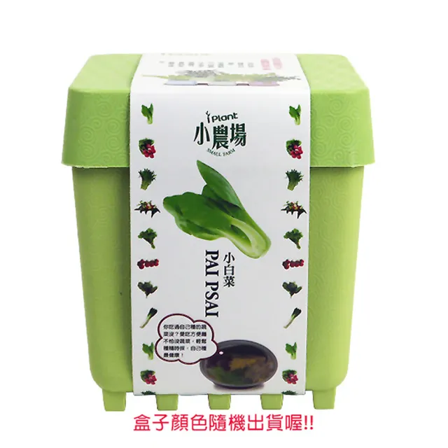 【蔬菜工坊004-D14】iPlant小農場系列-小白菜