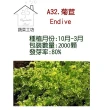【蔬菜工坊】A32.菊苣種子(日本進口苦苣)