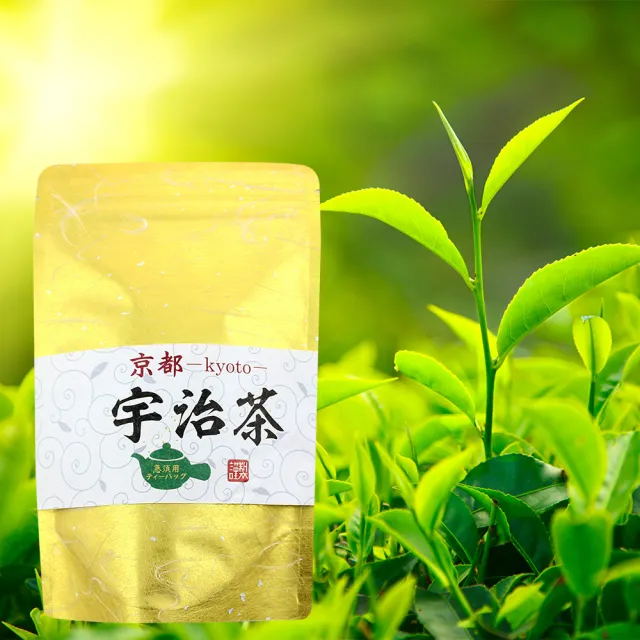 【日本藤二】嚴選宇治煎茶茶包80g