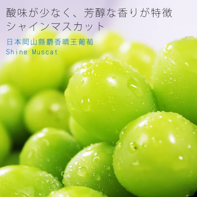 【鮮果日誌】日本岡山縣麝香晴王葡萄(三房)