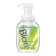 【台隆手創館】Biore u The Body 新綿密泡沫沐浴乳-540mL