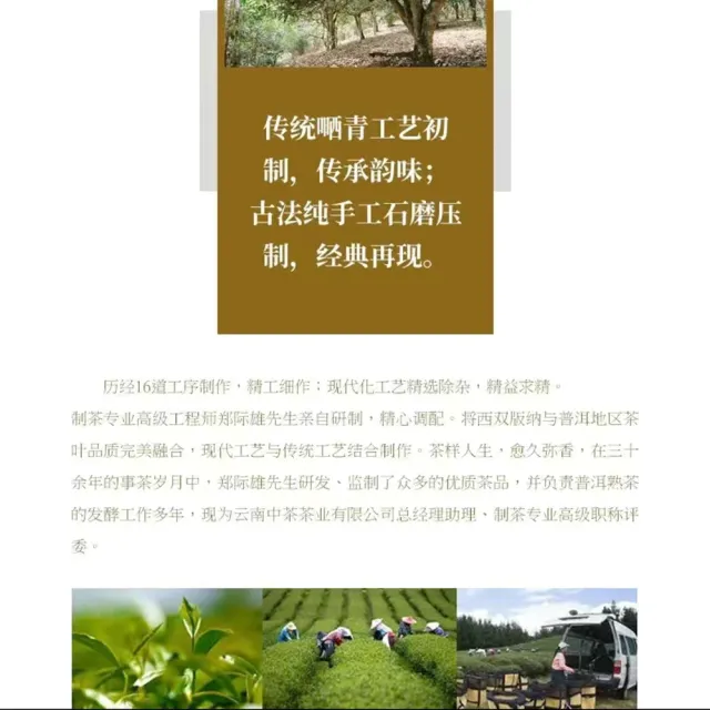 【盛嘉源】中茶 東半山 2016年(普洱茶   生茶 357g)
