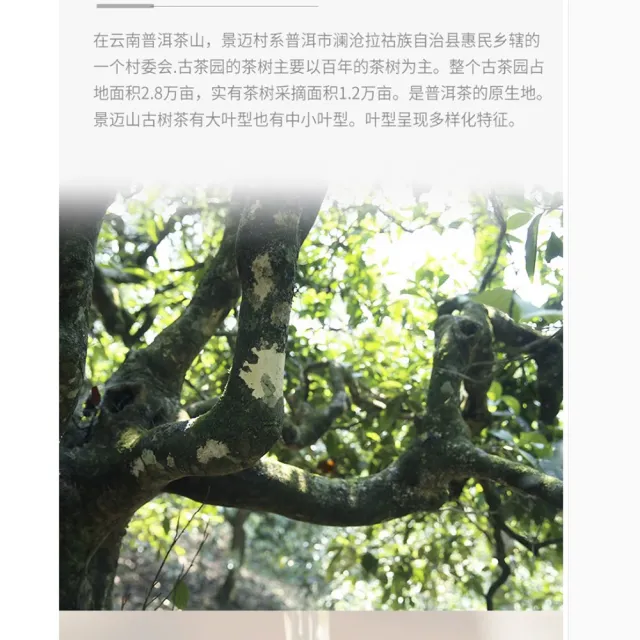 【盛嘉源】柏聯 景邁 2016年(普洱茶   生茶 357g)