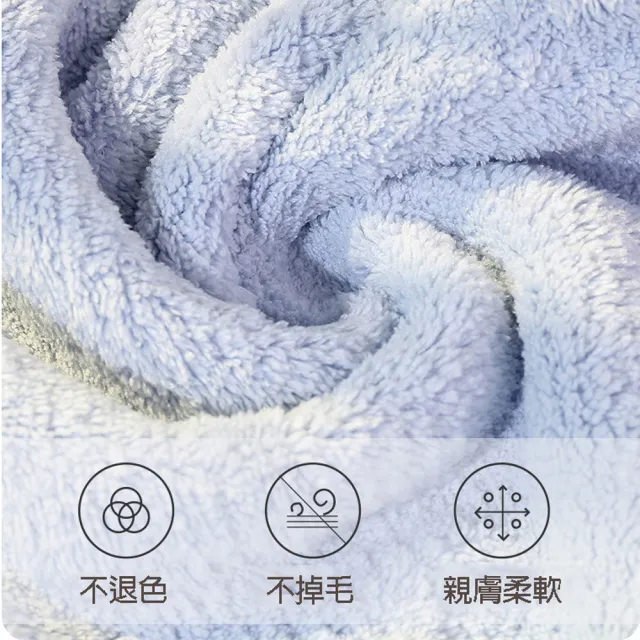 【趣Chill Life】動物造型擦手巾 珊瑚絨親膚吸水毛巾 可愛動物款(日本暢銷擦手巾2入組)