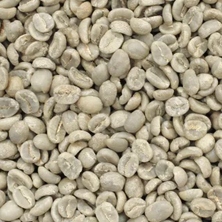 【E7HomeCafe一起烘咖啡】肯亞AA水洗咖啡生豆1kg/袋(Ai智能挑豆生豆)