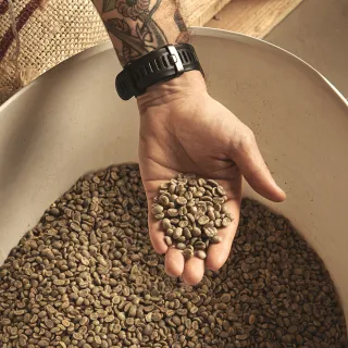 【E7HomeCafe一起烘咖啡】哥斯大黎加征服者水洗咖啡生豆500g/袋(Ai智能挑豆生豆)