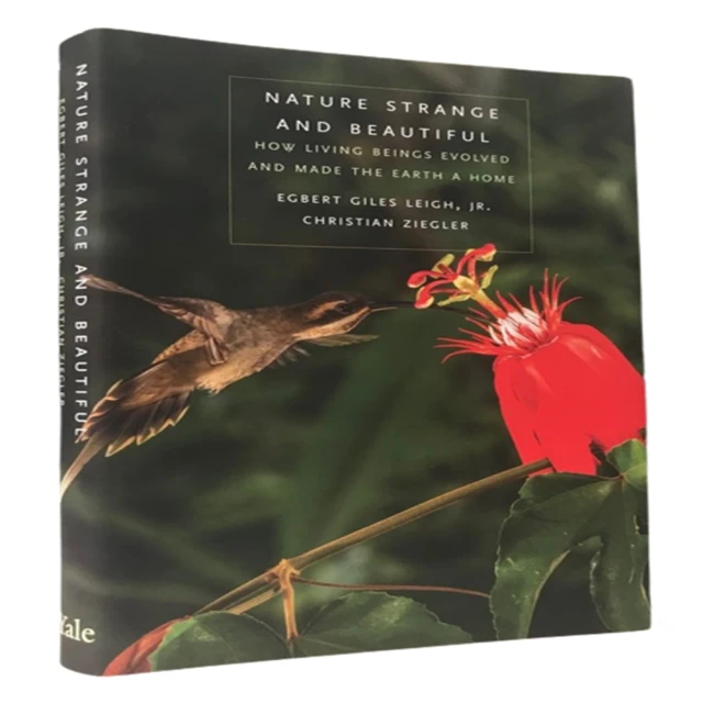 名師這樣教生物考高分：日本最強生物參考書 基礎觀念＋邏輯解題