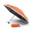 【PANTONE】摺疊傘(繽紛色彩找出屬於你的代表色)