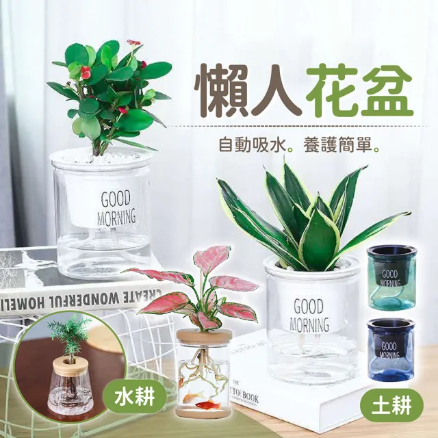 【178SHOP】懶人花盆 4入組 水耕/土耕(自動吸水花盆 吸水花盆 透明花盆 水培花盆 花盆 塑膠盆 植物花盆)