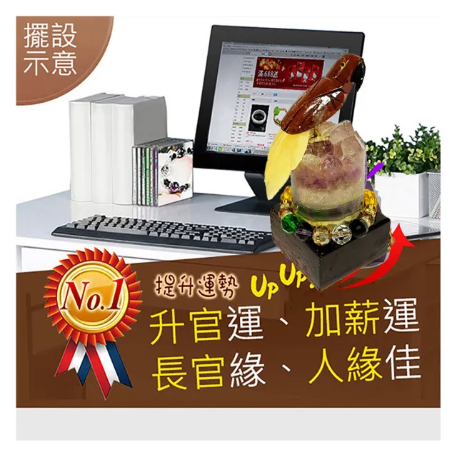 【A1 寶石】//出清下殺//挖寶區-巴西水晶鳥-同烏拉圭紫水晶洞能量/招財/開運/擋煞/防小人/貴人運旺