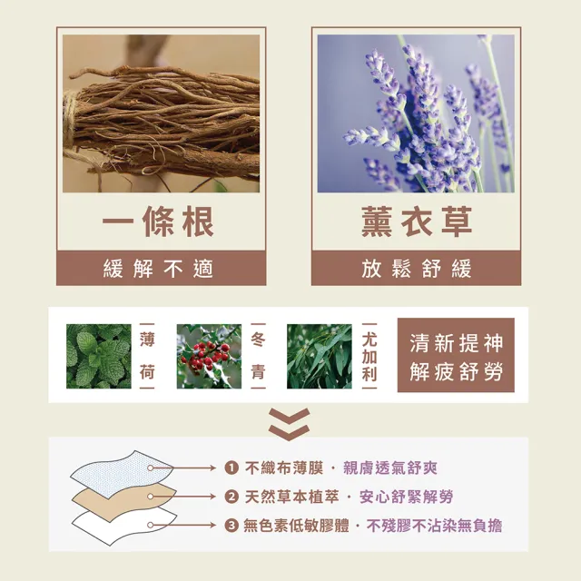 【奇維得】植粹勁涼薰衣草一條根貼布 3入組 共計30片(10片/包 一條根 薄荷 薰衣草 冬綠)