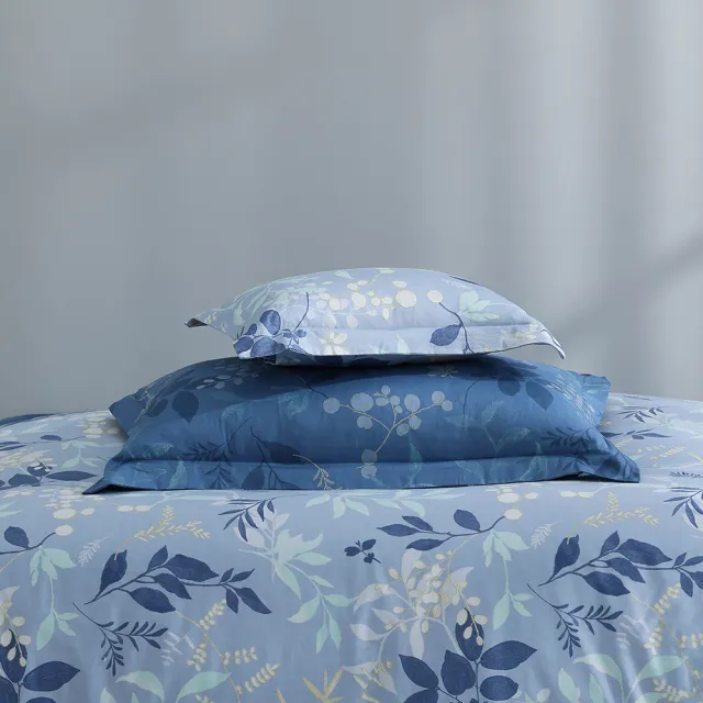 【MONTAGUT 夢特嬌】40支精梳棉薄被套床包組-藍葉莊園(特大)