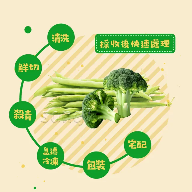 【老爸ㄟ廚房】鮮凍蔬菜青花菜/四季豆 任選10包(500G±3%/包)