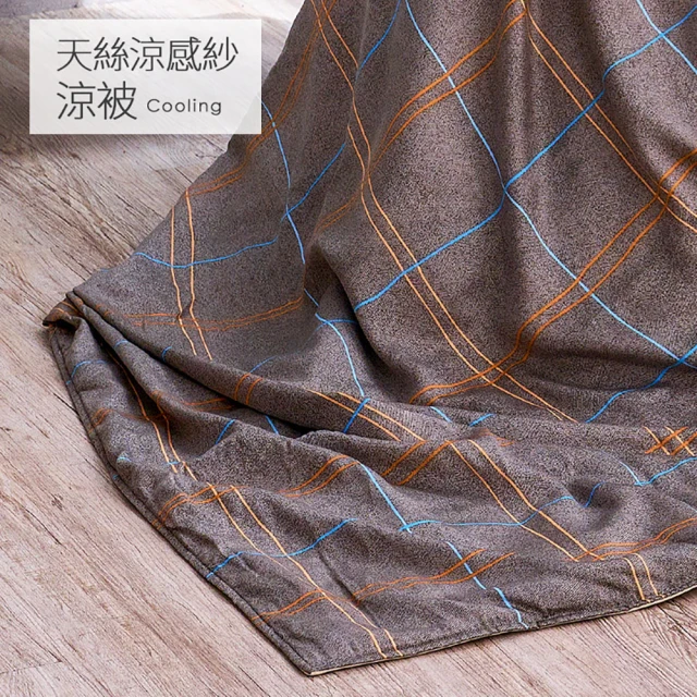 pierre cardin 皮爾卡登 天絲石墨烯十二月被(免 pierre cardin 皮爾卡登 天絲石墨烯十二月被(免