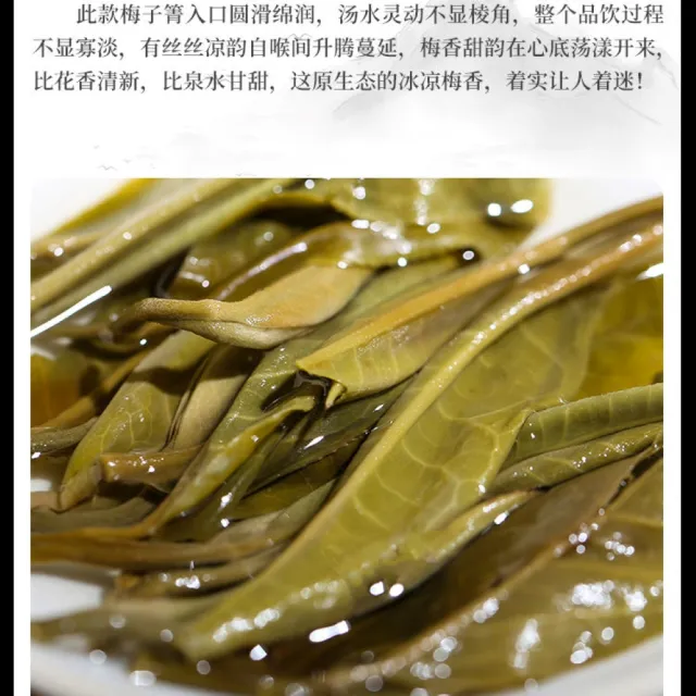 【盛嘉源】書呆子 紫印 梅子箐 2022年(普洱茶 生茶 357g)