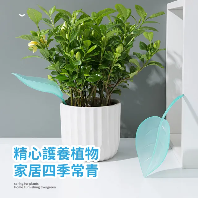 歐的北樹】樹葉漏斗澆花器3入組(根部導水植物盆栽澆水器多肉灌溉滴水器