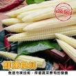 【海肉管家】冷凍玉米筍段_家庭號(共2kg_1Kg/包)
