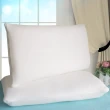 3D立體彈性透氣枕2入組(可水洗)