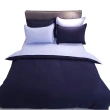 【LUST】素色簡約 極簡風格/雙藍、100%純棉/精梳棉 雙人薄被套6X7尺(台灣製造)