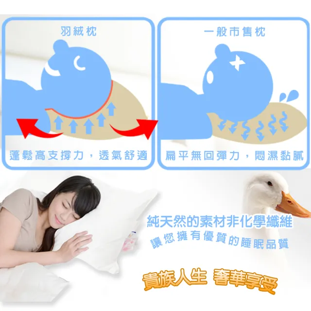 【凱蕾絲帝】台灣製造貴族級50/50立體純棉羽絨枕(1入 含純羽絨50%)