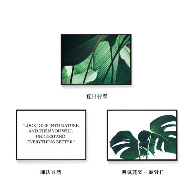 【菠蘿選畫所】清新療癒綠植系列掛畫-42x60cm(龜背竹相框掛牆/簡約植物攝影牆壁裝飾/臥室壁畫)