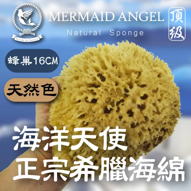 【Mermaid Angel 希臘天然海綿】蜂巢海綿-天然色16公分
