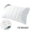 【TENDAYS】備長炭床包型保潔墊枕套床包組合(單人兩件組-3尺+枕套X1)