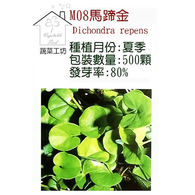 【蔬菜工坊】M08.馬蹄金種子(金錢草)