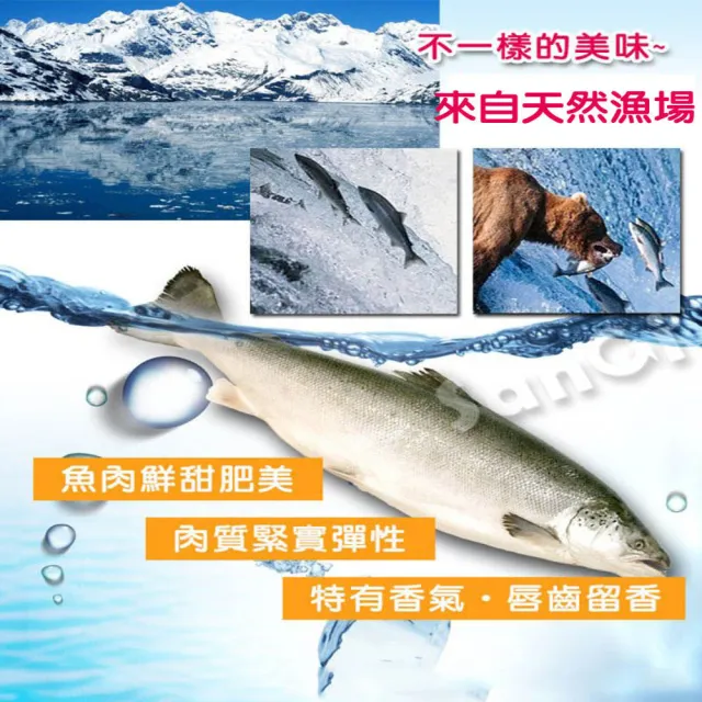 【賣魚的家】日本鮮味十足野生鮭10片組(100g±4.5%/5片/包 共2包)
