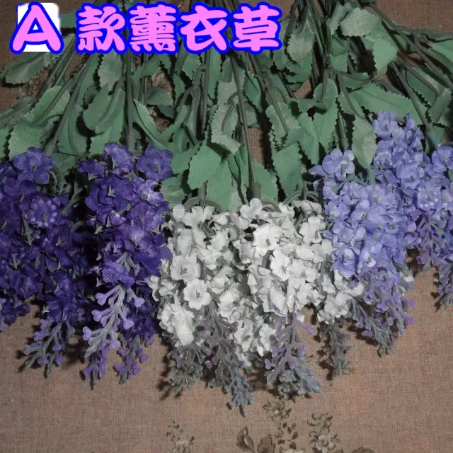 【園藝世界】薰衣草盆花