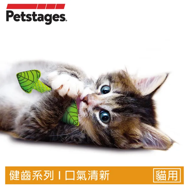 【Petstages】口氣清新薄荷棒(貓草 解壓 潔牙 貓玩具)