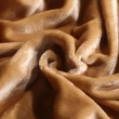 【Betrise曙光】抗靜電升級款-暖柔金貂絨雙面毯(150X200cm)
