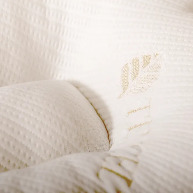 【Embrace 英柏絲】Tencel天絲特柔軟 可水洗 舒鼾枕 蝶型枕 人體工學 MIT台灣製造(1入-可以洗的枕頭)