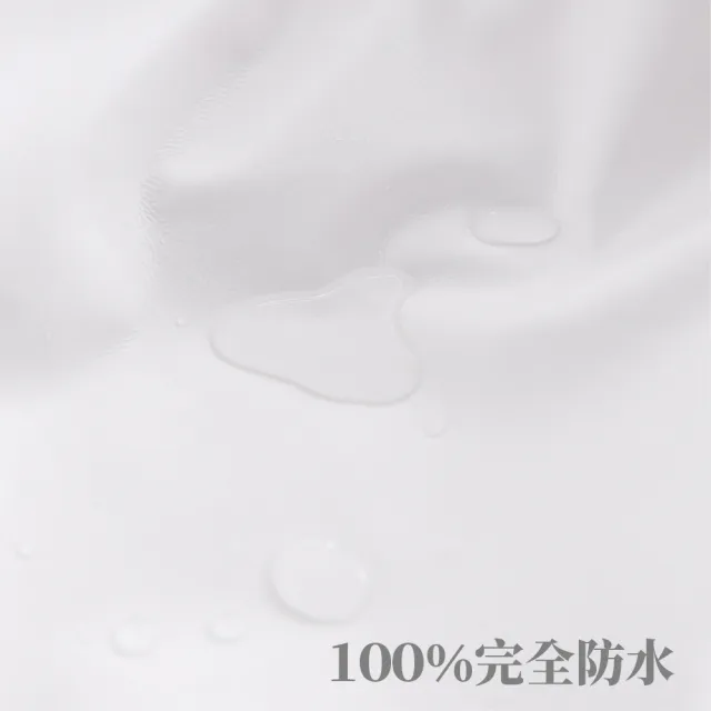 【EverSoft 寶貝墊】Nano銀離子抗菌 萌寵物必備 100%防蟎防水透氣雙效合一床包式保潔墊(雙人150x190cm)