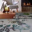 【范登伯格】比利時SWING現代地毯-印花(120x170cm)