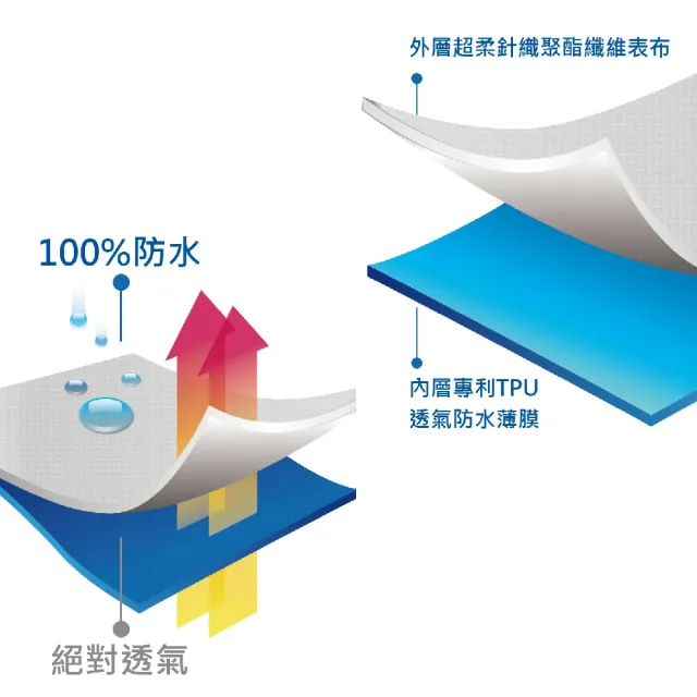 【EverSoft 寶貝墊】Nano銀離子抗菌 萌寵物必備 100%防蟎防水透氣雙效合一床包式保潔墊(雙人加大180x190cm)